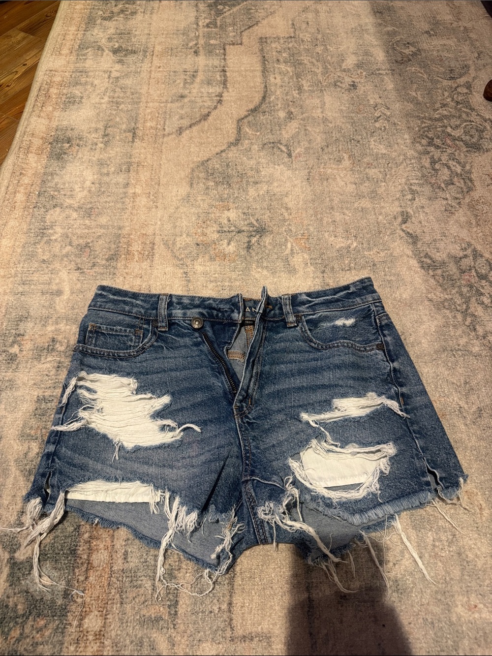 American Eagle Outfitters Distressed Blue Denim Cutoff Shorts